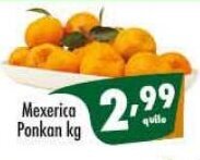Vencedor Atacadista Mexerica Ponkan 1kg oferta