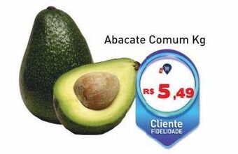 Tonin Superatacado Abacate comum kg oferta