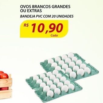 Ovos brancos grandes