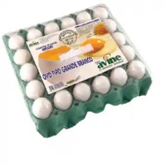 Nordestão Ovos branco avine grande bd com 30  oferta