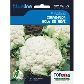Santo Supermercados Semente couve flor bola de neve blue line topseed 5g oferta