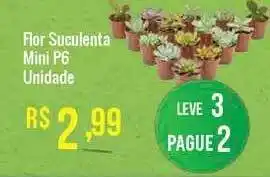 Mart Minas Flor Suculenta Mini Leve 3 Pague 2 oferta
