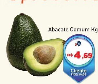 Tonin Superatacado Abacate comum kg oferta