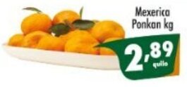 Vencedor Atacadista Mexerica Ponkan 1kg oferta