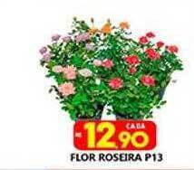 Supermercado Porecatu Flor Roseira P13 oferta