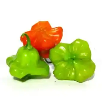 Pimenta de cheiro 200g