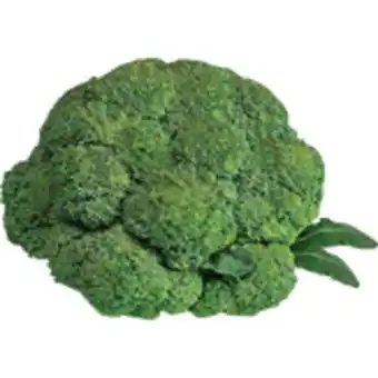 Sam's Club Brócolis ninja 300g oferta