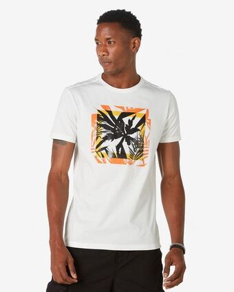 Riachuelo Camiseta masculina manga curta folhagem branco pool by riachuelo oferta
