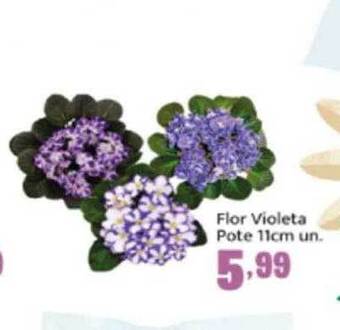 Rede Top Flor Violeta Pote 11cm Un. oferta