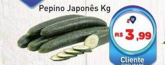 Pepino Japonês Kg