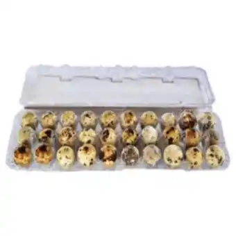 Ovos de codorna com 30 unidades