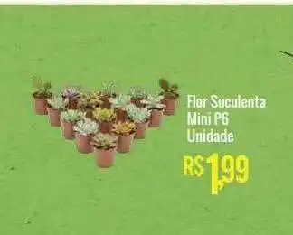 Mart Minas Flor Suculenta Mini P6 oferta