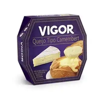Queijo tipo camembert vigor 120g