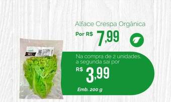 Alface Crespa Orgânica