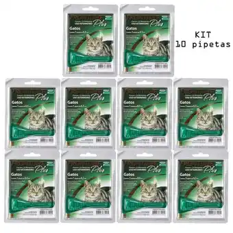 Pão de Açúcar Frontline plus antipulgas gatos kit 10 unidades oferta