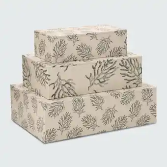 MMartan Kit caixas decorativas botanique 3 peças oferta