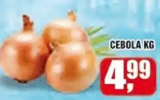 Cebola 1kg