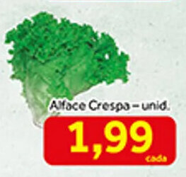 Shibata Supermercados Alface Crespa Und. oferta