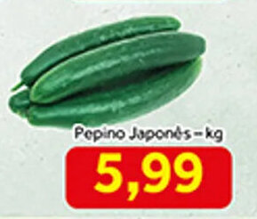 Shibata Supermercados Pepino Japones 1kg oferta
