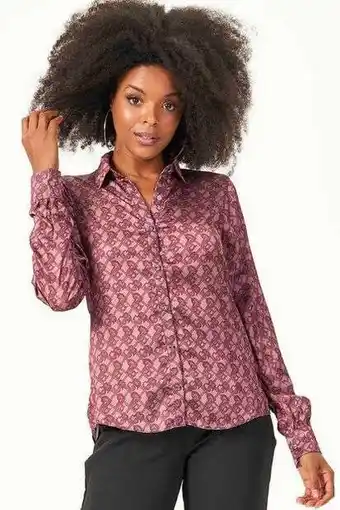 Camisa classic