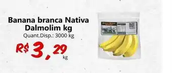 Banana branca nativa dalmolim kg