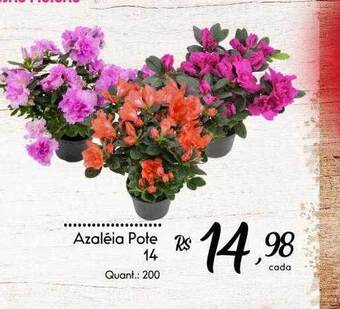 Giassi Supermercados Azaléia pote 14 oferta