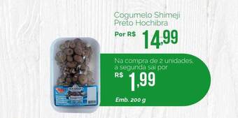 Cogumelo shimeji preto hochibra