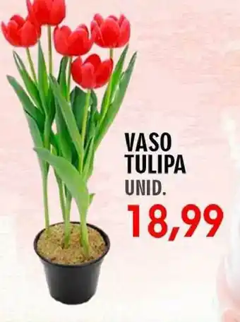 Vaso Tulipa