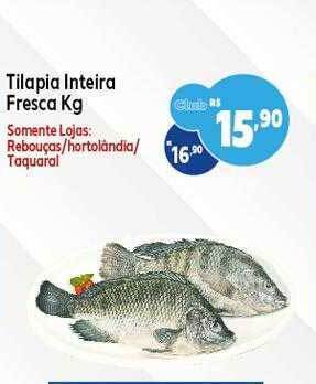 GoodBom Tilapia inteira fresca kg oferta