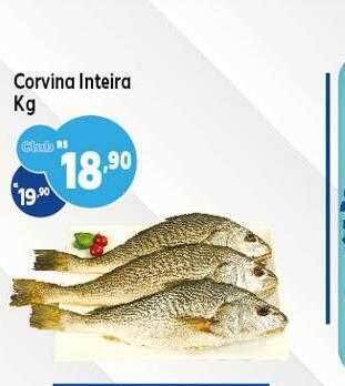 Corvina inteira kg