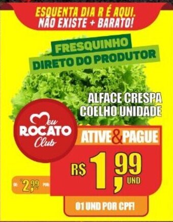 Alface Crespa Coelho und.