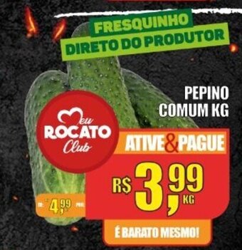 Rocato Supermercados Pepino Comum 1kg oferta