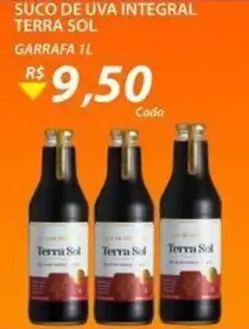 Assaí Atacadista Suco de Integral Terra Sol 1L oferta