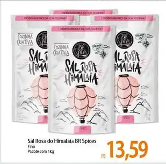 Atacadão Sal rosa do himalaia br spices oferta