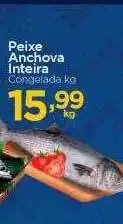 Peixe anchova inteira