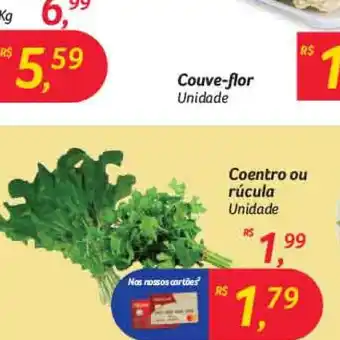BIG Coentro o rúcula oferta