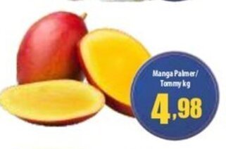 Manga Palmer/ Tommy 1kg