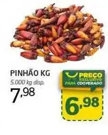 Pinhão kg