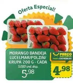 Morango bandeja lucelmar polzin krupa