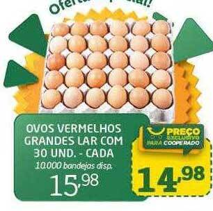 Cooper Ovos vermelhos grandes lar com 30 oferta
