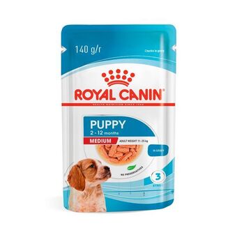 Petz Ração úmida royal canin medium puppy para cães filhotes de porte médio 140g oferta