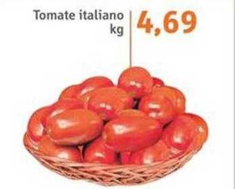 Sonda Tomate italiano oferta