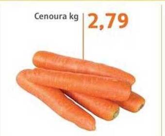 Sonda Cenoura oferta