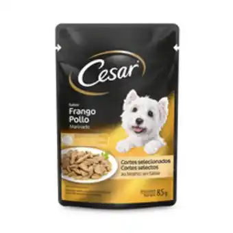 Supermercados Pague Menos Ração úmida para cães adultos cesar frango marinado sachê 85g oferta