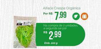 Oba Hortifruti Alface crespa orgânica oferta