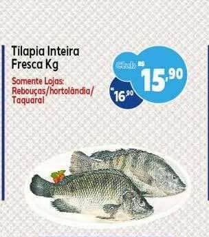 GoodBom Tilapia inteira fresca kg oferta