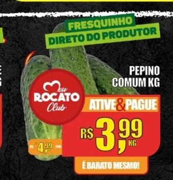 Pepino Comum 1kg