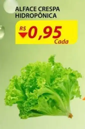 Assaí Atacadista Alface Crespa Hidroponica oferta