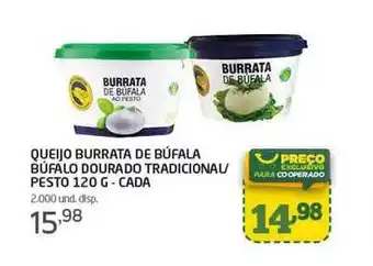 Queijo burrata de búfala búfalo dourado tradicional-pesto - cada