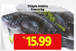 Tilapia inteira fresca 1kg